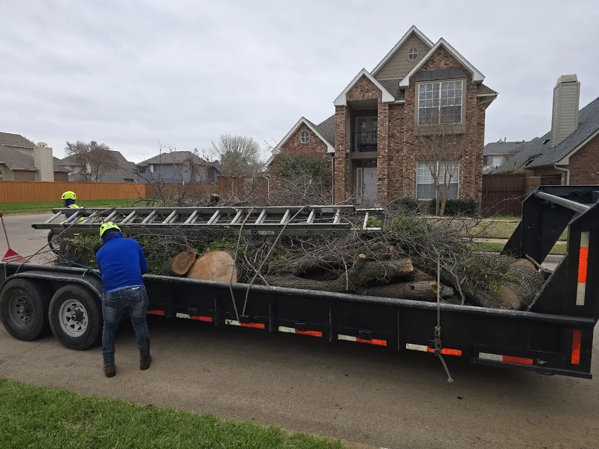 Expert Tree Fertilization with proper safety equipment in Tulare